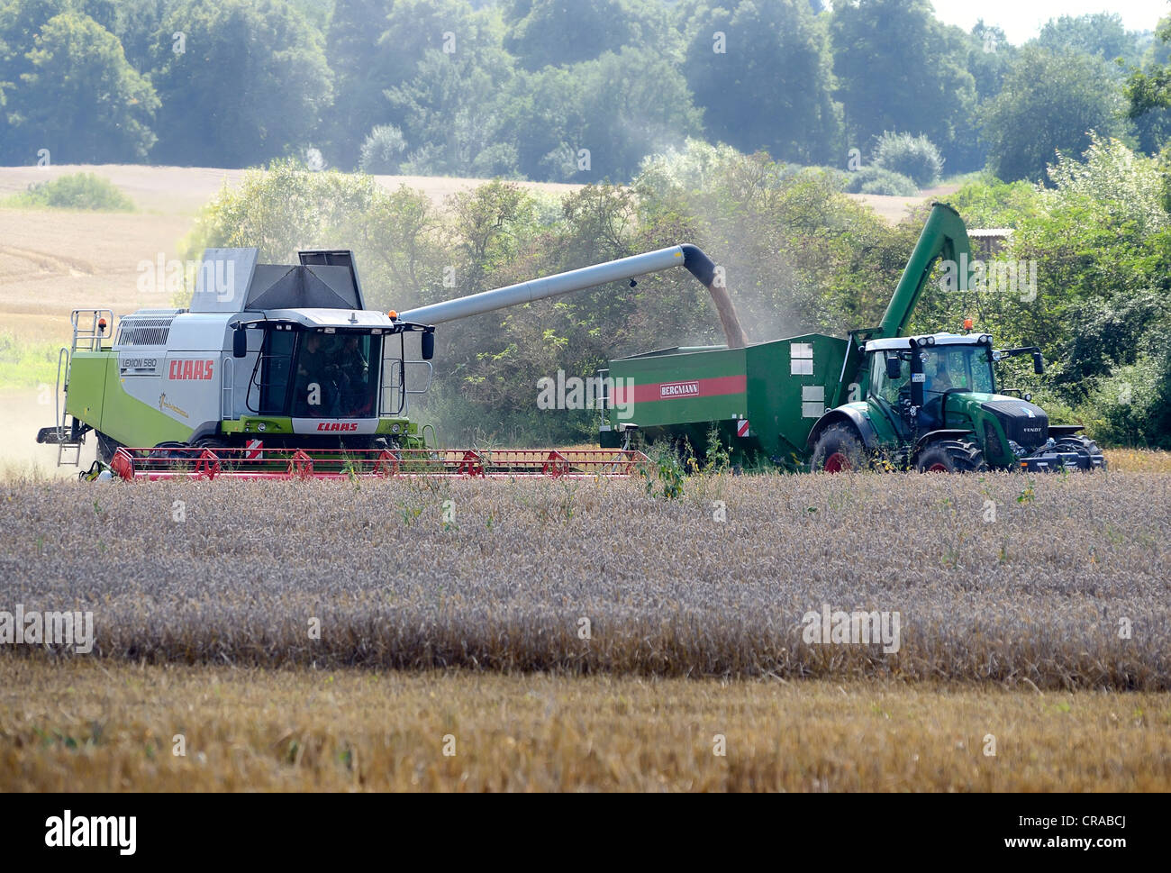 Erntemaschinen während der getreideernte, dechow kombinieren, Schalsee Region, Mecklenburg-Vorpommern, Deutschland, Europa Stockfoto
