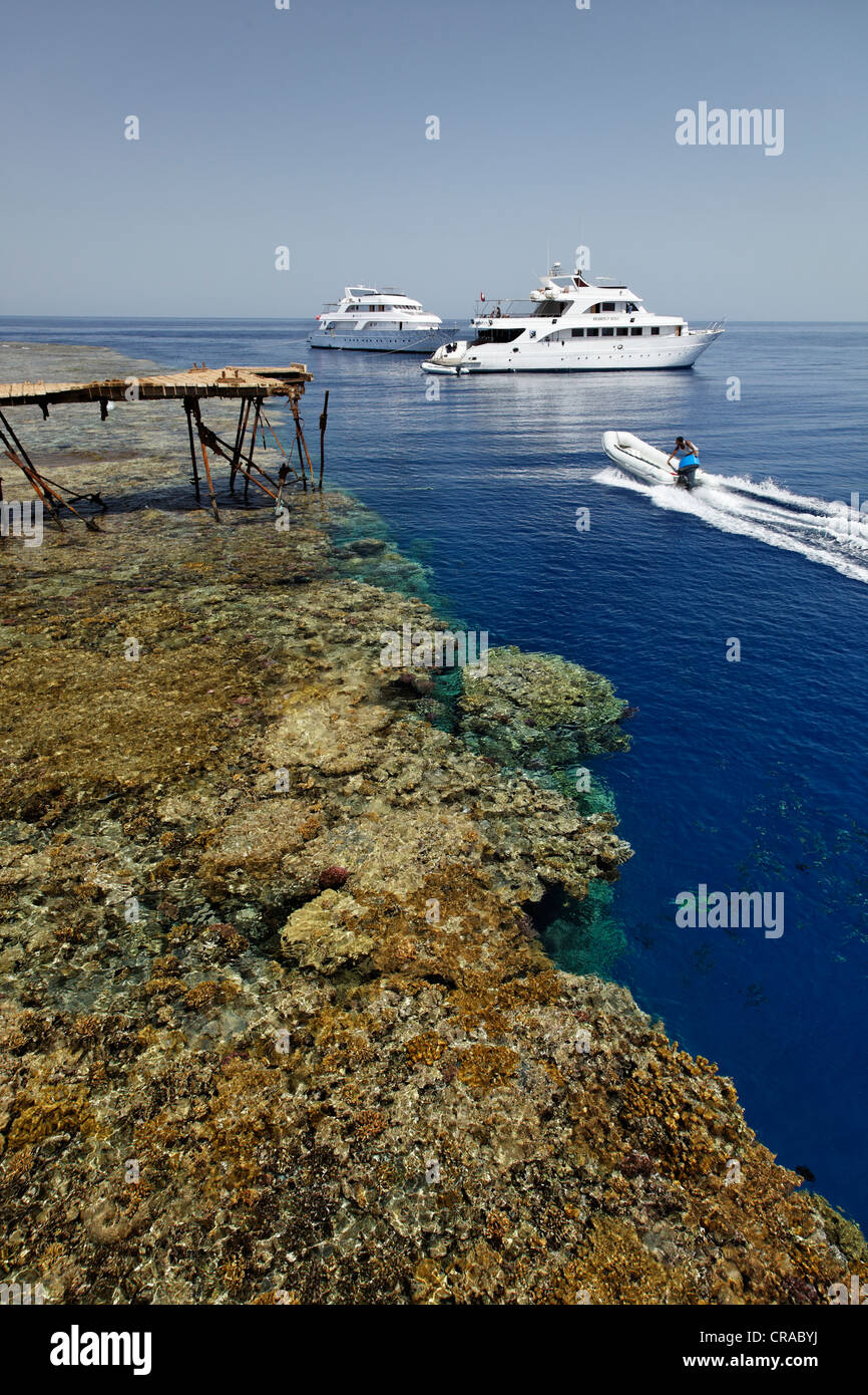 Tauchen Schiffe Anker aus dem Steg vor dem Riffdach, Kautschuk Dhingy, Daedalus Reef, Ägypten, Rotes Meer, Afrika Stockfoto