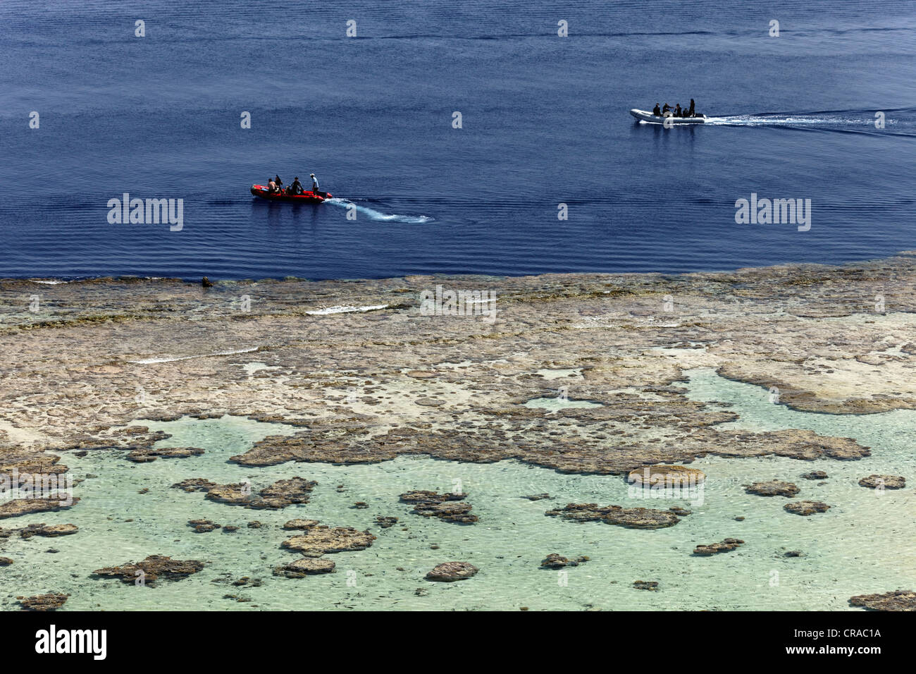 Kautschuk-Dinghys holen Taucher aus dem Riffdach Daedalus Riff, Afrika, Ägypten, Rotes Meer Stockfoto
