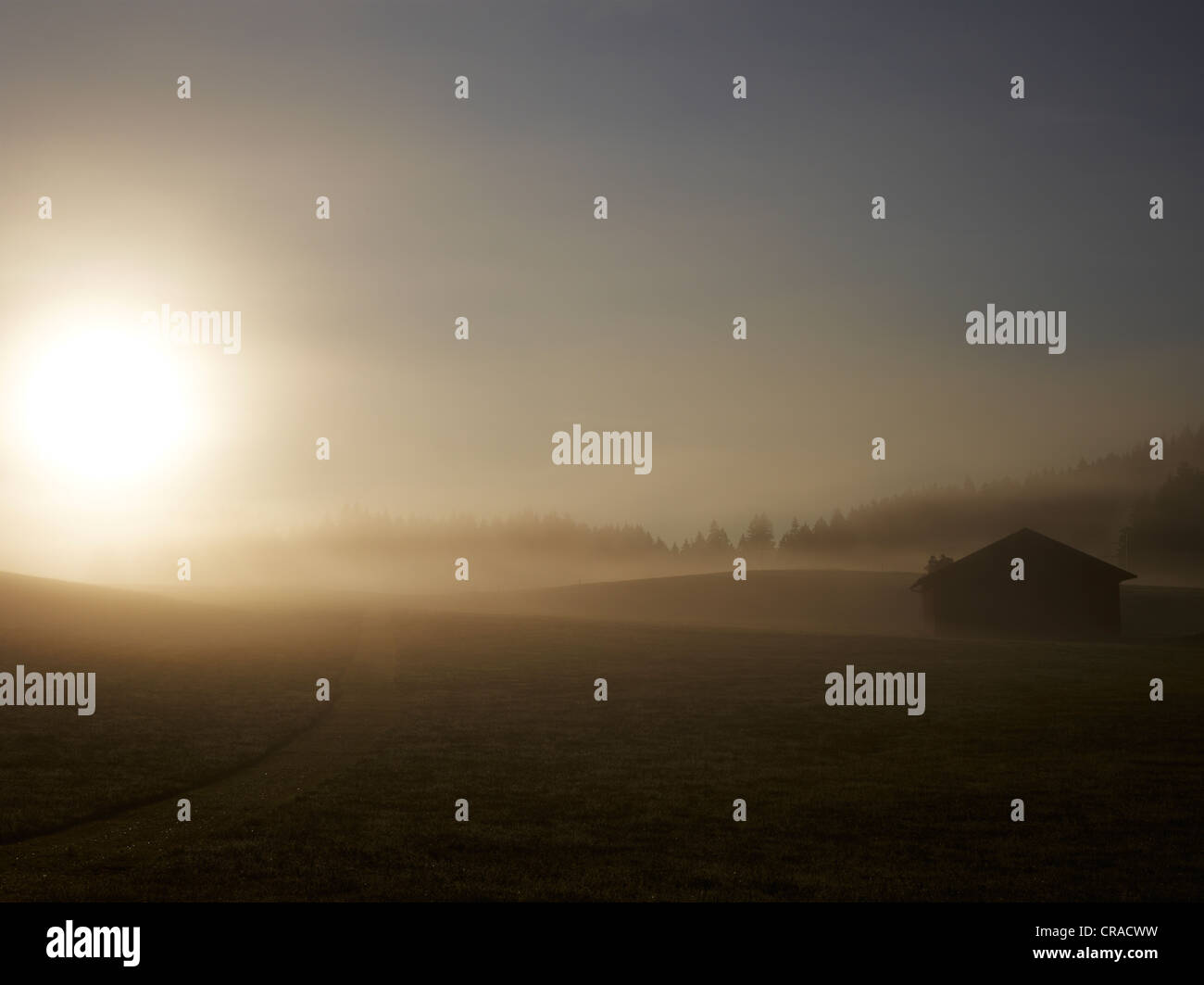 Morgennebel über dem Allgäu-Region, in der Nähe von Buchenberg, Bayern, Deutschland, Europa Stockfoto