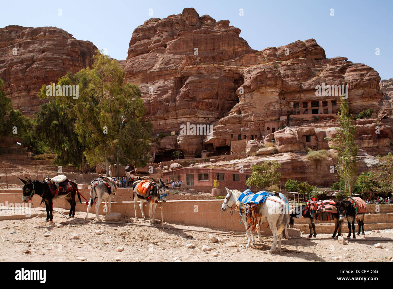 Esel, Bäumen und ein Restaurant, Petra, die Hauptstadt der Nabatäer, rock City, UNESCO-Weltkulturerbe Hertage, Wadi Musa Stockfoto