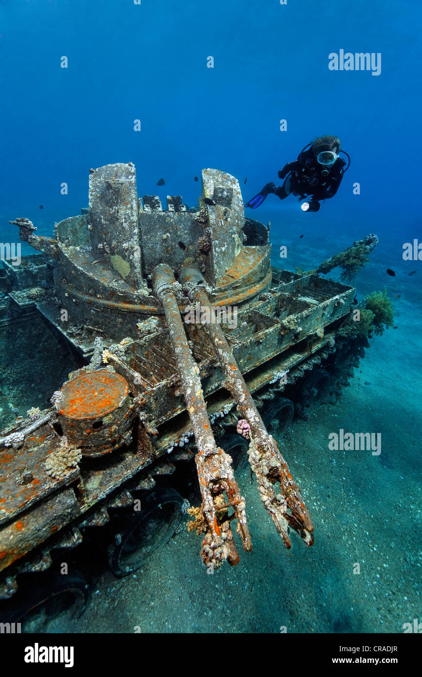 Taucher befasst sich mit amerikanischer Panzer M42 Duster mit selbstfahrenden 40 mm Anti-Tircraft Gewehr, Wrack, Haschemitischen Königreich Jordanien, Rotes Meer Stockfoto