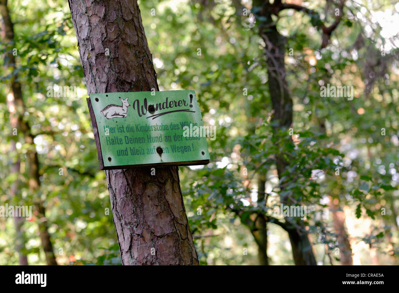 Zeichen im Wald Information der Wanderer auf dem Pfad zu bleiben und Hunde an der Leine halten, Münster, Nordrhein - Westfalen, publicground Stockfoto