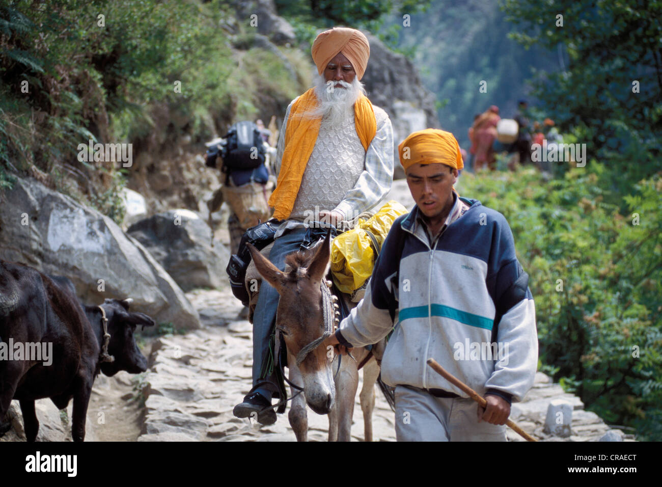 Sikh-Pilger auf dem Pferderücken auf seinem Weg nach Gurudwara Hemkund, Uttarakhand, ehemals Uttaranchal, Indien, Himalaya Stockfoto