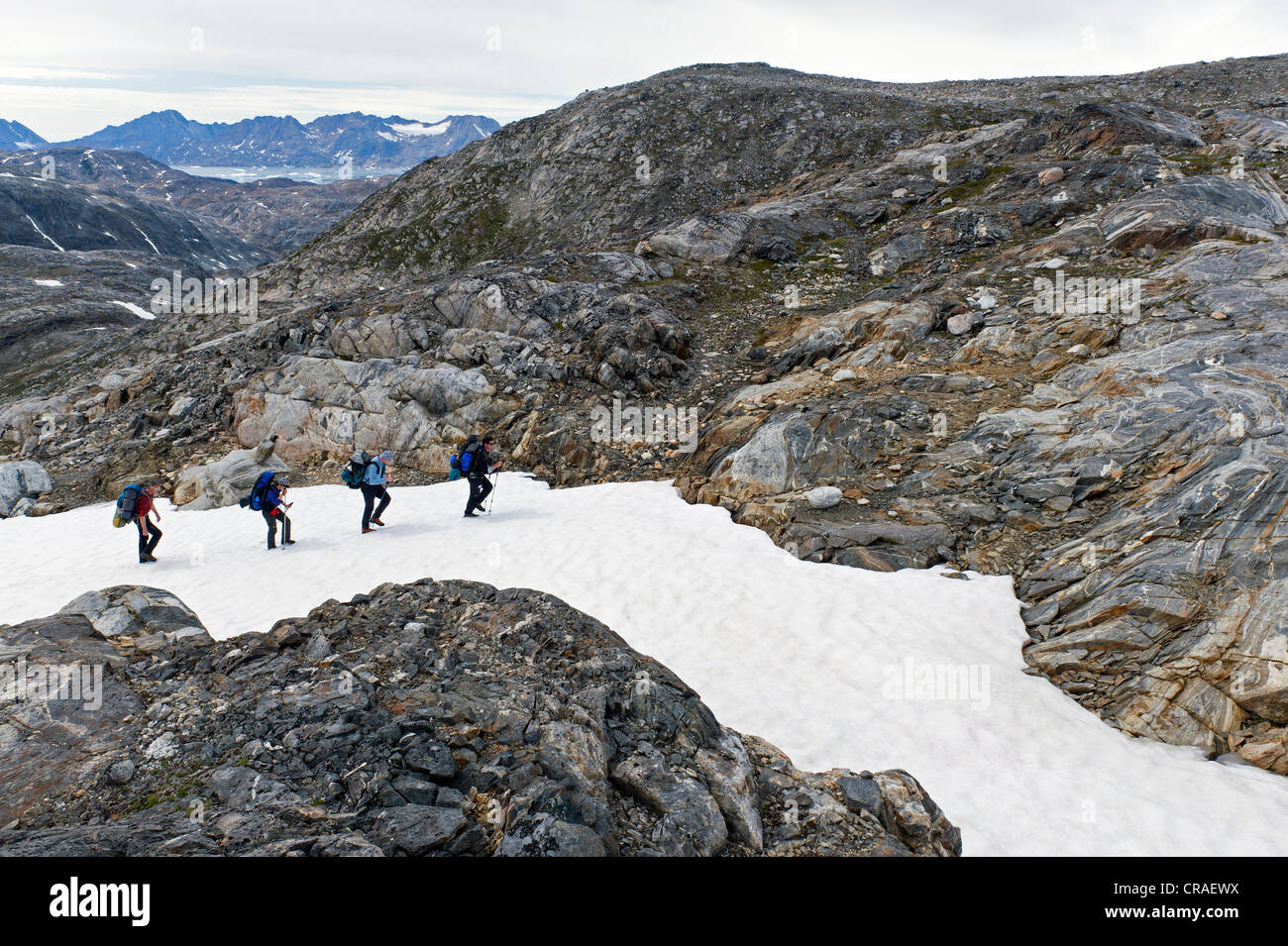 Wanderer auf ein Schneefeld, im Sermelik-Fjord, Ammassalik Halbinsel, Ostgrönland, Mittivakkat Gletscher, Grönland Stockfoto