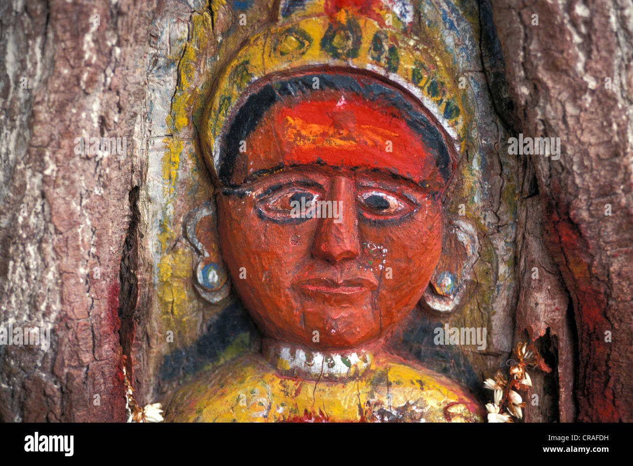 Hindu Fruchtbarkeitsgöttin geschnitzt in einen Baum, Baum-Tempel, Hampi, Karnataka, Südindien, Asien Stockfoto