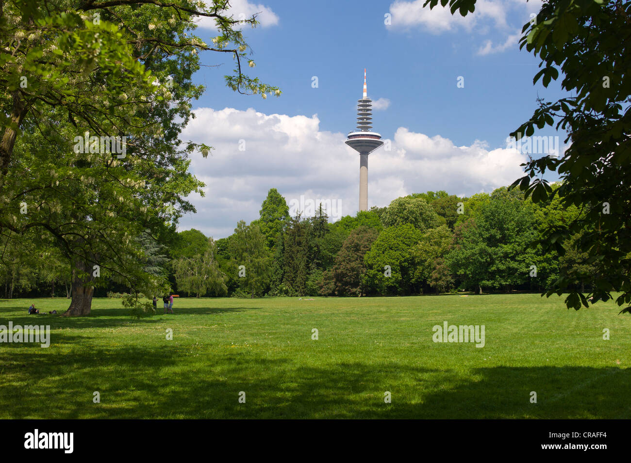 Grueneburgpark Gärten, Turm Europaturm Telekommunikation auf der Rückseite, auch bekannt als Ginnheimer Spargel Tower, Frankfurter Stockfoto