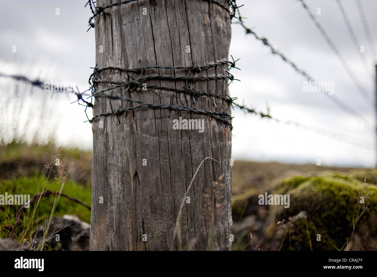 Pfosten und Stacheldraht Zaun in der Nähe von Handelsort, Kirkjubaejarklaustur, Skaftárhreppur, Suðurland, Sudurland, Island Stockfoto