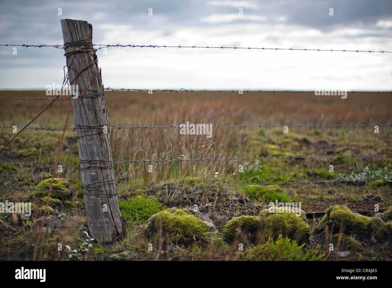 Pfosten und Stacheldraht Zaun in der Nähe von Handelsort, Kirkjubaejarklaustur, Skaftárhreppur, Suðurland, Sudurland, Island Stockfoto