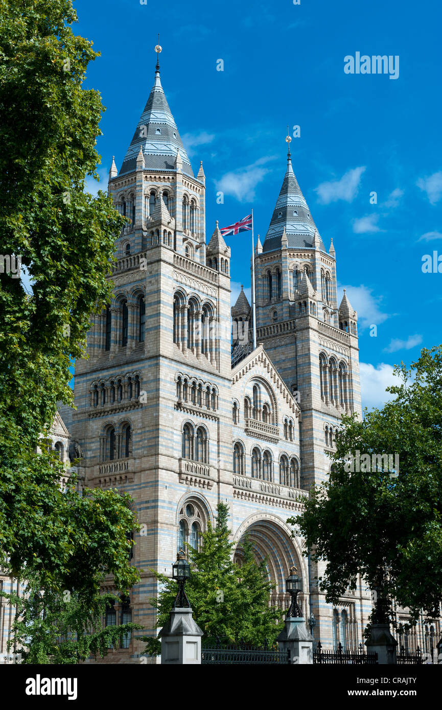 Natural History Museum, London, England, Vereinigtes Königreich, Europa Stockfoto