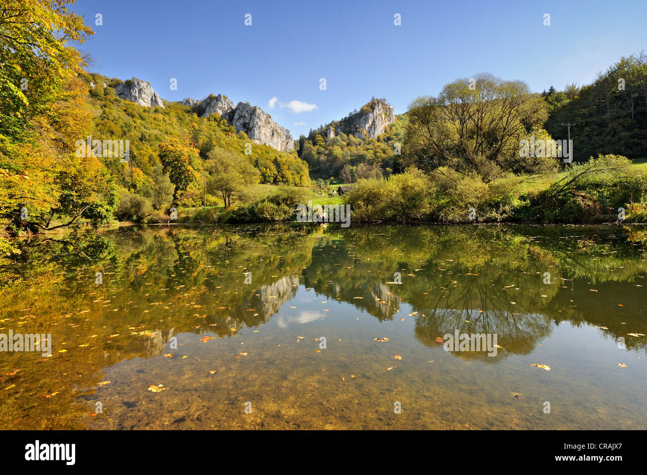 Jura Kalksteinfelsen und herbstlichen Buchenwald spiegeln sich in der Donau, Landkreis Tuttlingen, Baden-Württemberg Stockfoto