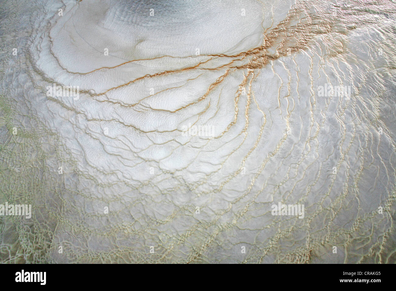 Detail, Sinter-Terrassen mit Strukturen gebildet durch farbige Mineralien, Geothermie und Wasser im Bereich der Geothermie Stockfoto