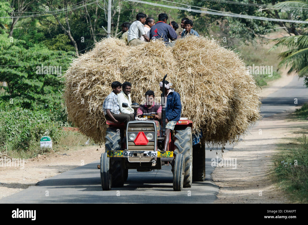 Indianer Reisen auf einem Traktor mit Heu beladen, Bezirk Mysore, Karnataka, Südindien, Indien, Asien Stockfoto