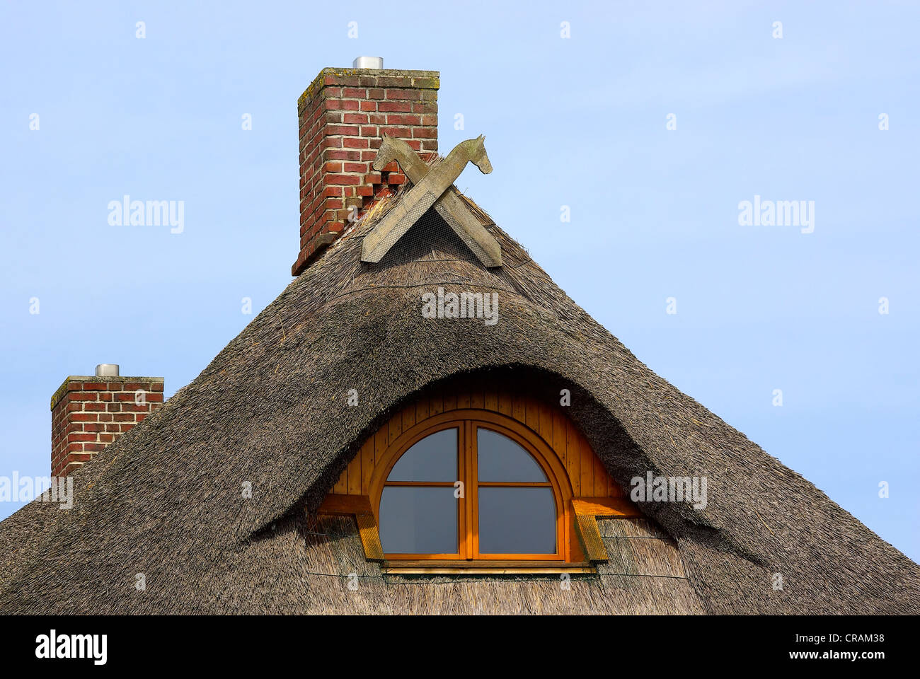 Schilf bewachsenen Dach eines Einfamilienhauses in Norddeutschland. Stockfoto