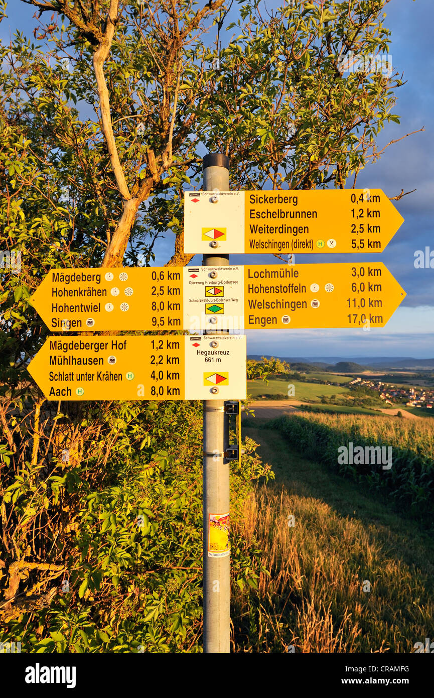 Wegweiser für Wanderer entlang wandern route, Schwarzwald, Bodensee, Konstanz District, Baden-Württemberg, Deutschland, Europa Stockfoto