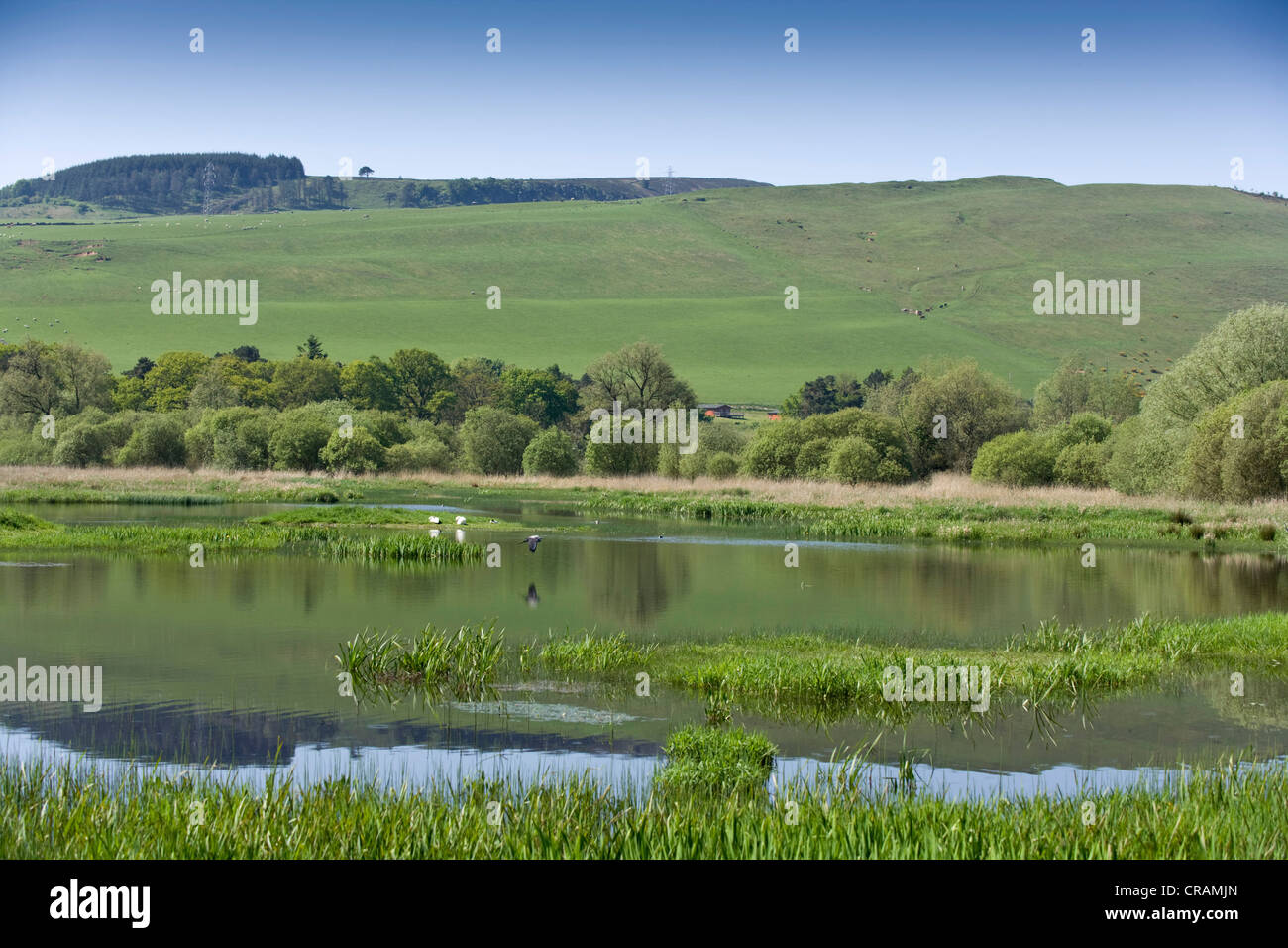 Blick aus einem Versteck von einem der Teiche aus Loch Leven, Fife. Stockfoto