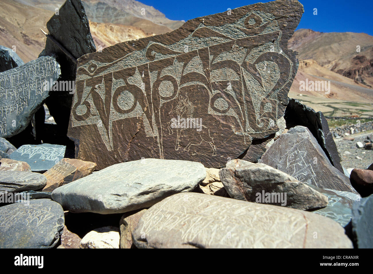 Gebet-Stein mit dem weit verbreiteten buddhistischen Mantra Om Mani Padme Hum, Zanskar-Tal, Zanskar, Ladakh, Jammu und Kaschmir Stockfoto