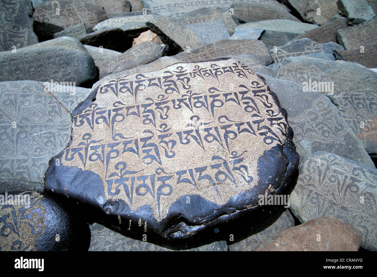 Gebet-Stein mit dem weit verbreiteten buddhistischen Mantra Om Mani Padme Hum, Zanskar-Tal, Zanskar, Ladakh, Jammu und Kaschmir Stockfoto