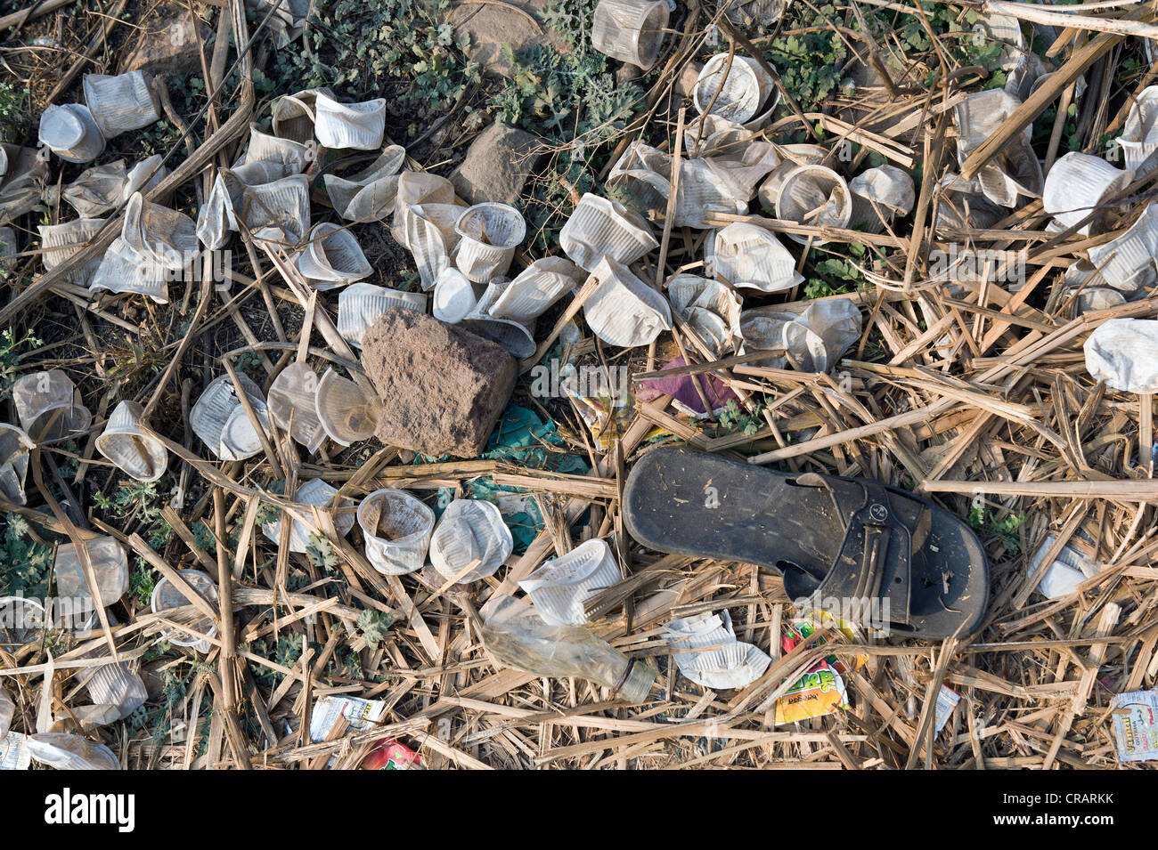 Verschrotteten Kunststoff Tassen, Rajasthan, Indien, Indien, Nordasien Stockfoto