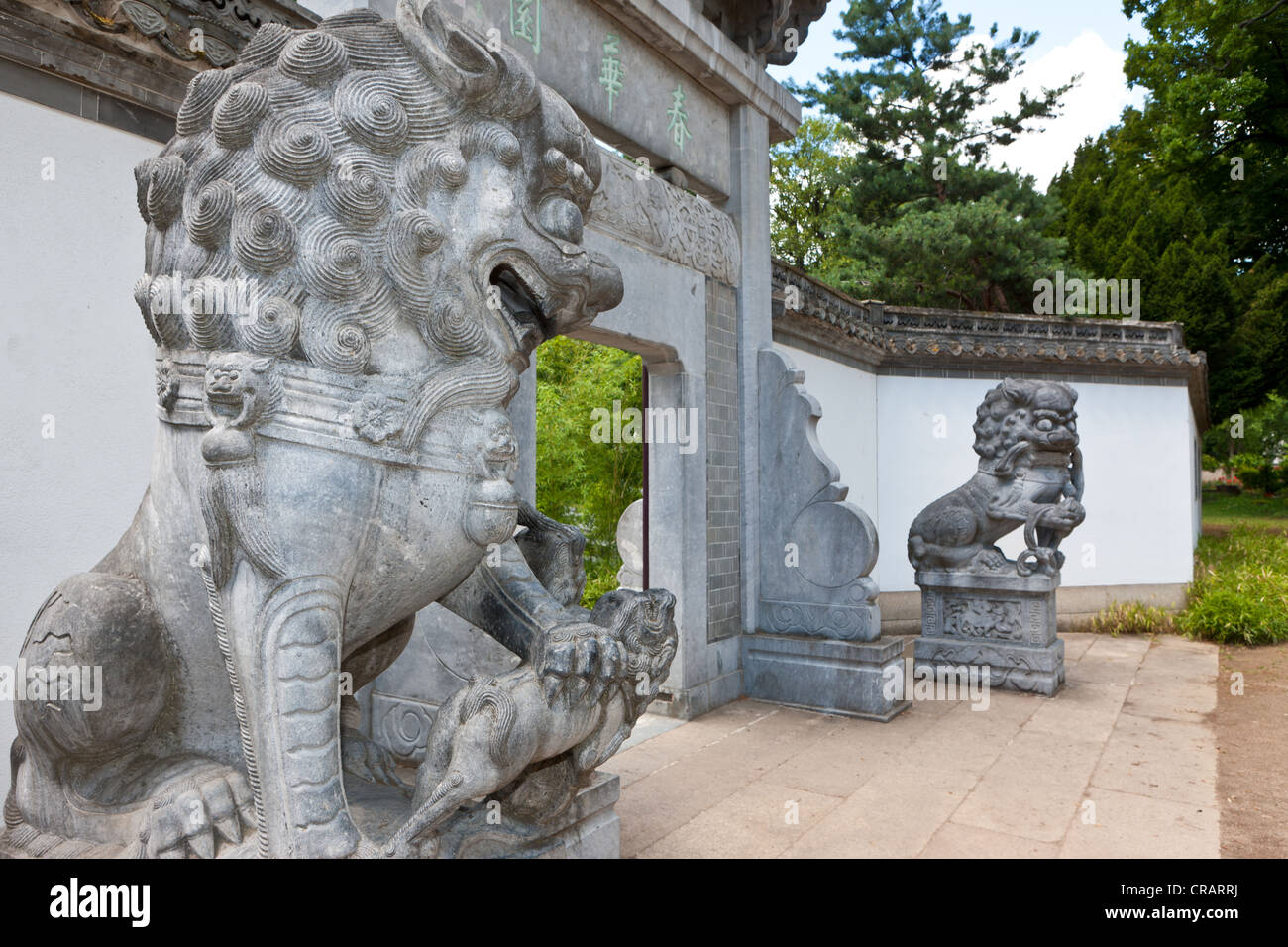 Bethmann Park, chinesischer Garten, Frankfurt am Main, Hessen