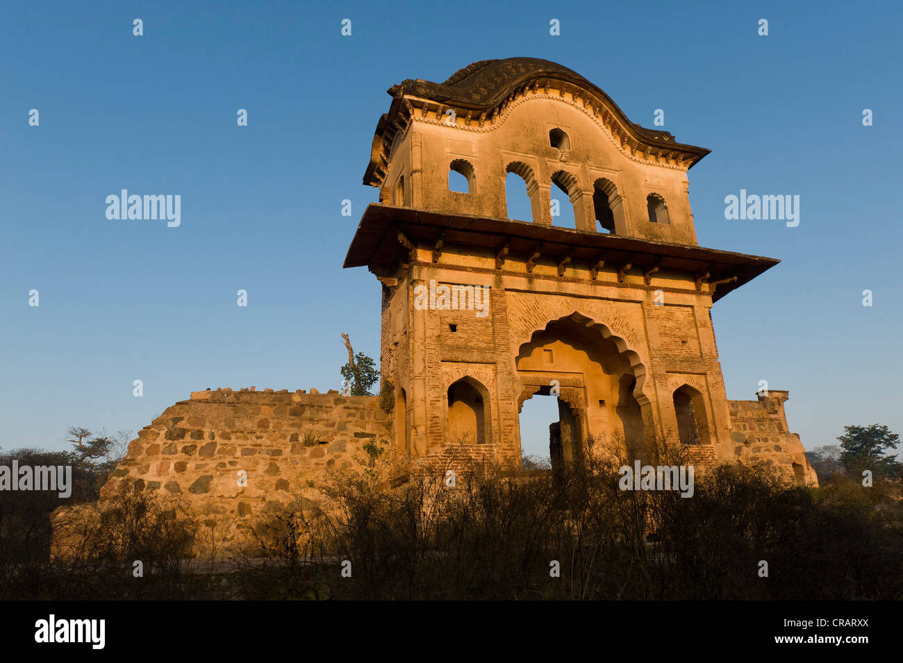 Ruine, Orchha, Madhya Pradesh, Nordindien, Indien, Asien Stockfoto