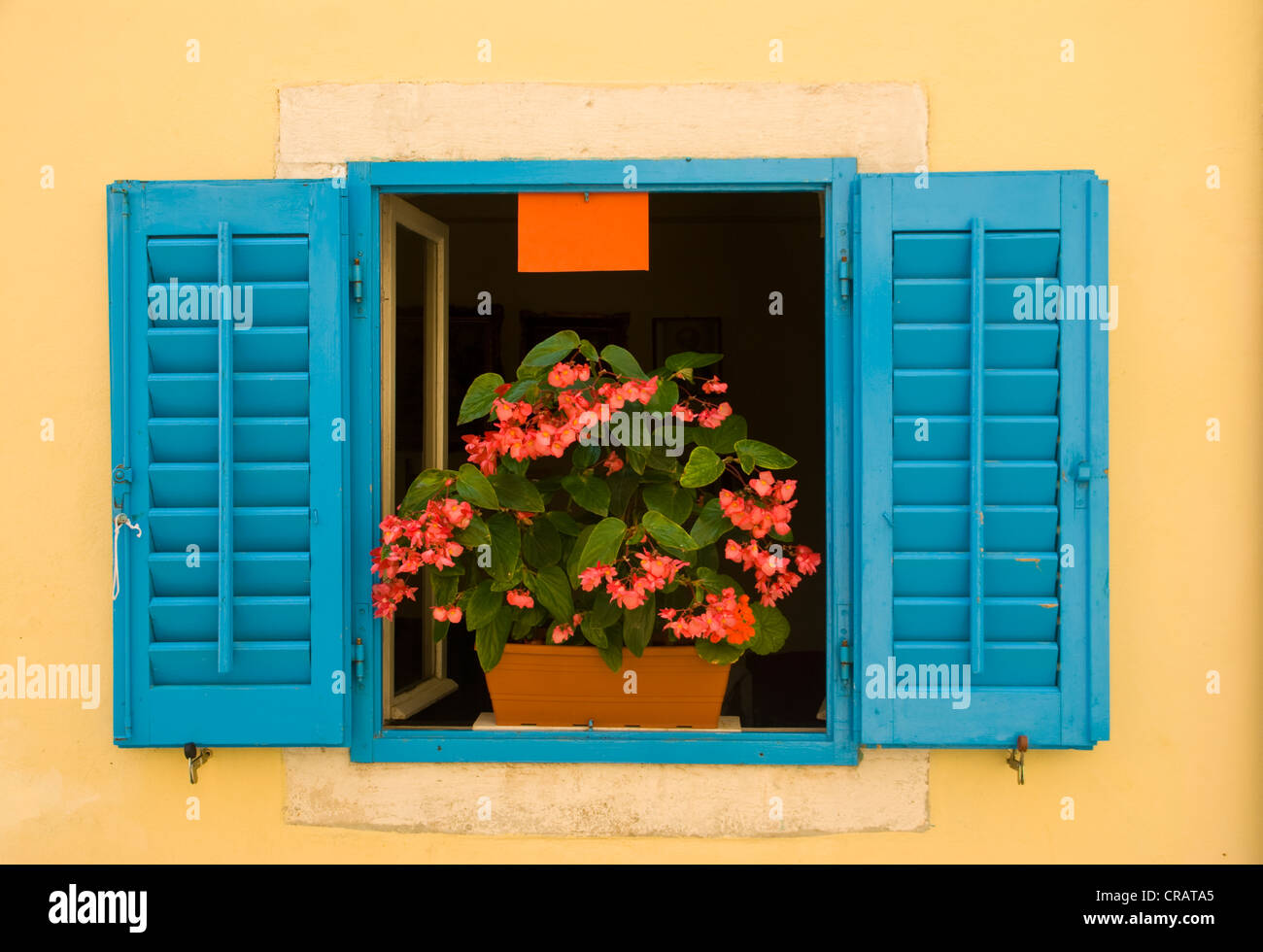 Fenster mit einer Blume Feld, Porec, Istrien, Kroatien, Europa Stockfoto