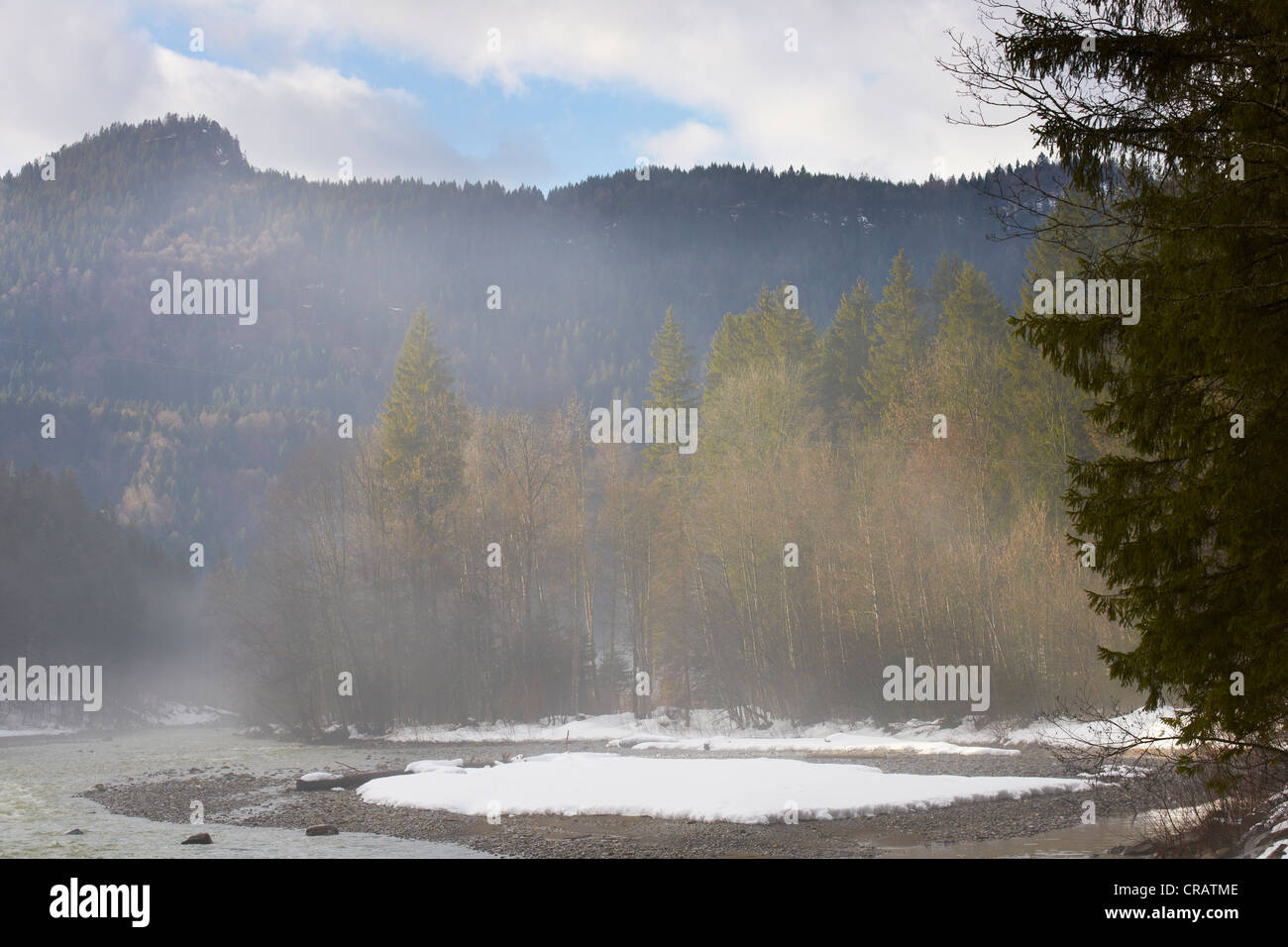 Morgennebel in der Breitach River valley Stockfoto