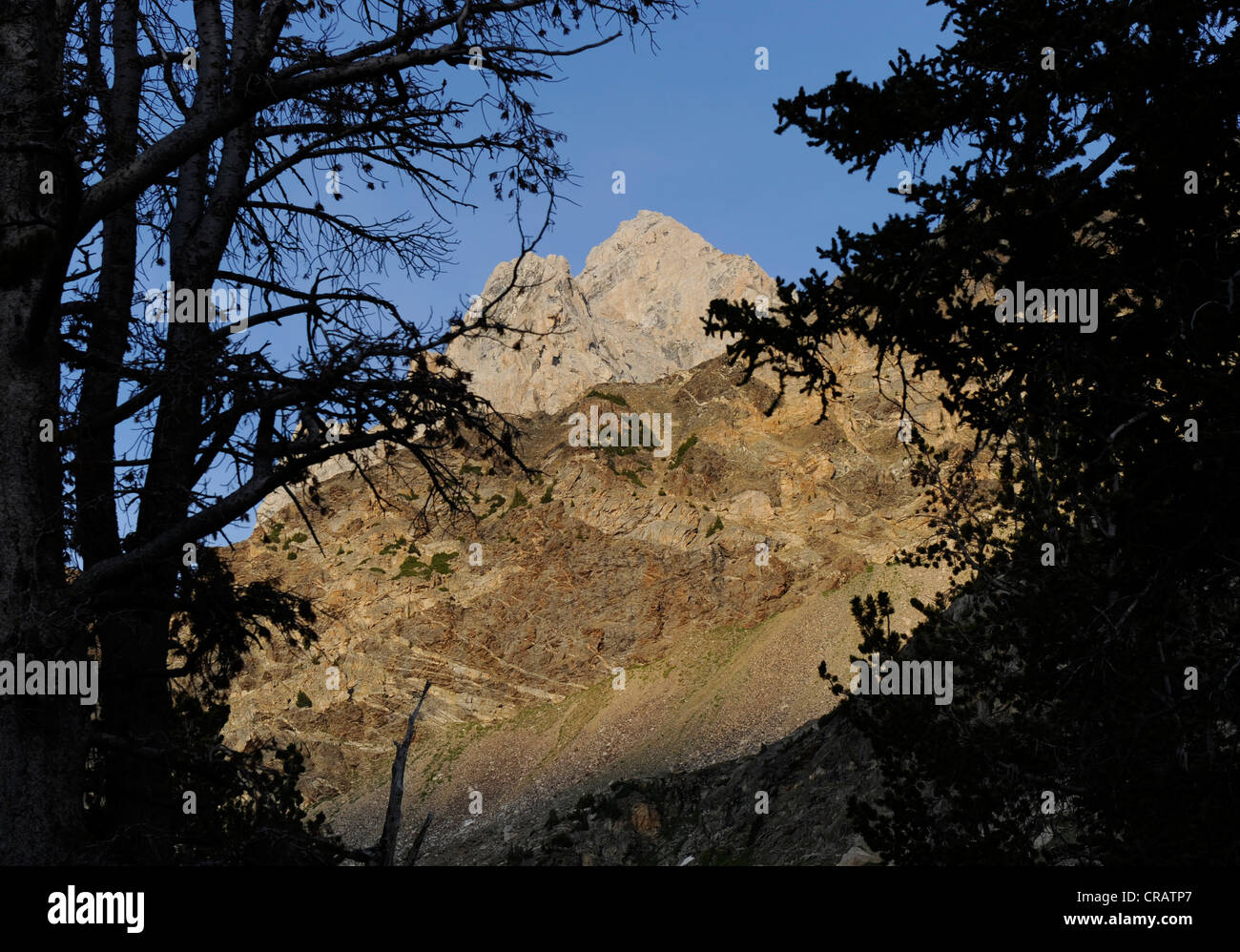 South Fork Cascade Canyon Grand Teton National Park. Stockfoto