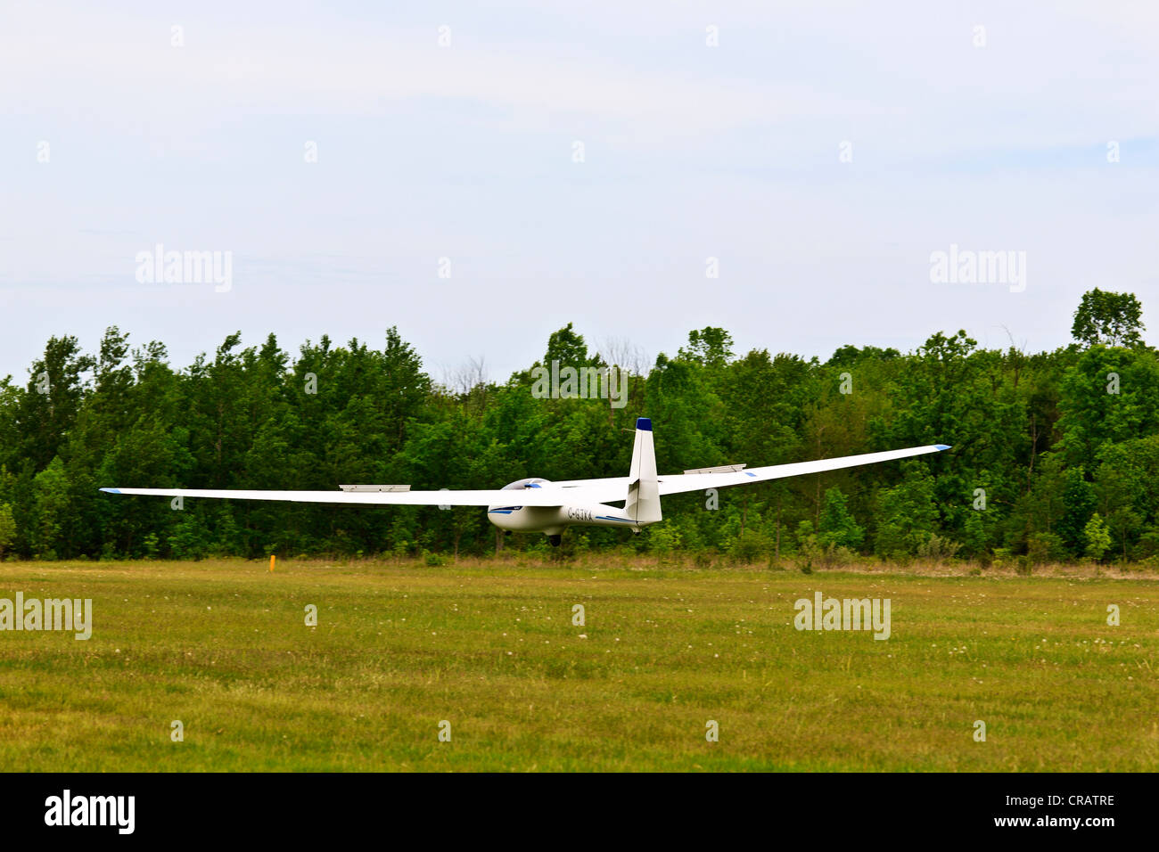 Segelflugzeug-Landung auf Graspiste. Stockfoto