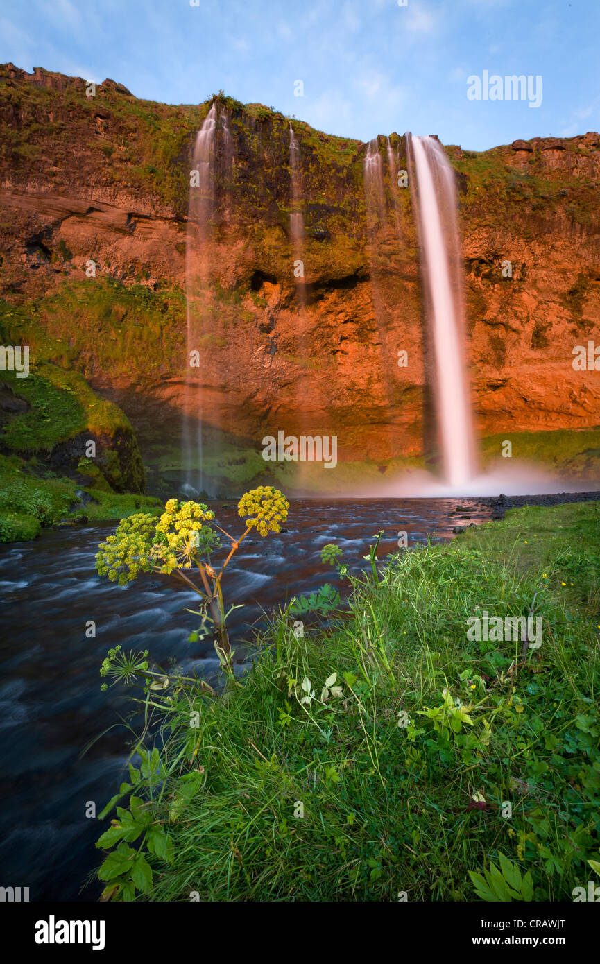 Seljalandsfoss Wasserfall, southern Island, Europa Stockfoto