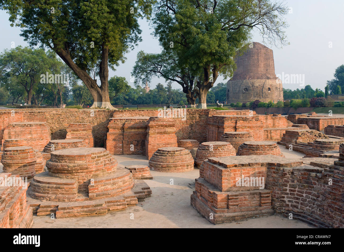 Ausgrabungen in der Dhamek-Stupa, buddhistischen Heiligen Ort Sarnath, Uttar Pradesh, Indien, Asien Stockfoto