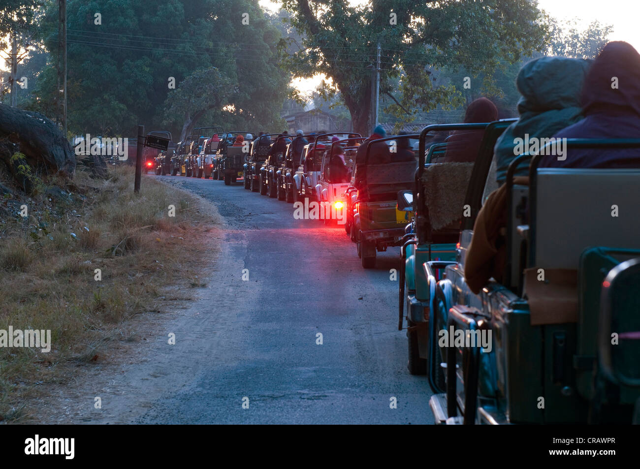 Warteschlange des Jeeps mit Touristen, kurz bevor die Tore des Parks geöffnet sind, Kanha National Park, Madhya Pradesh, Indien, Asien Stockfoto