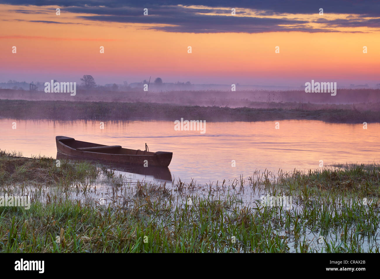 Sunrise Landschaft, Narew Nationalpark, Polen Stockfoto