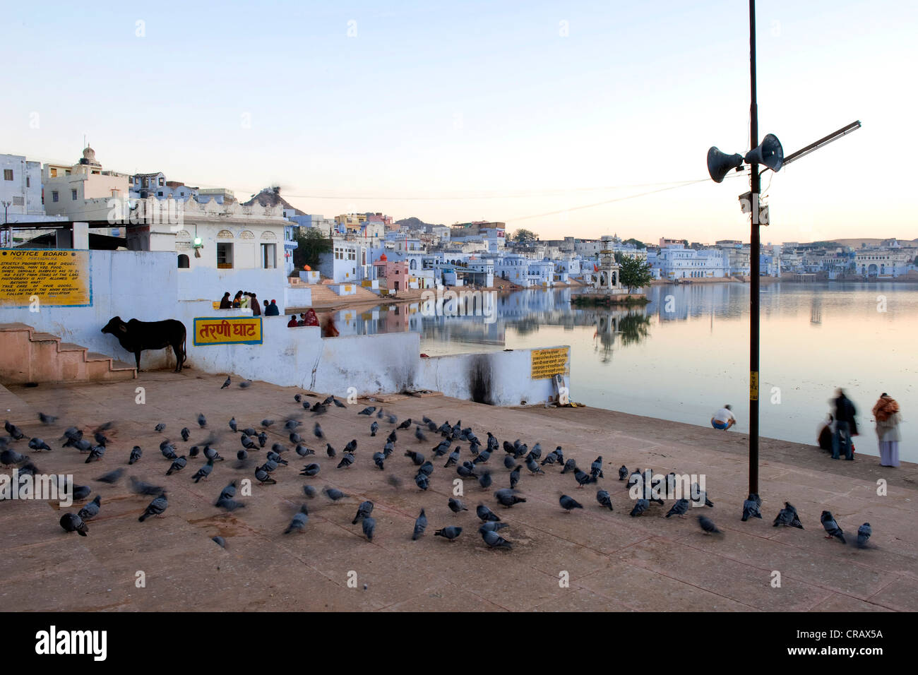 Pushkar auf dem Heiligen Pushkar-See oder Pushkar Sarovar, Rajasthan, Indien, Asien Stockfoto