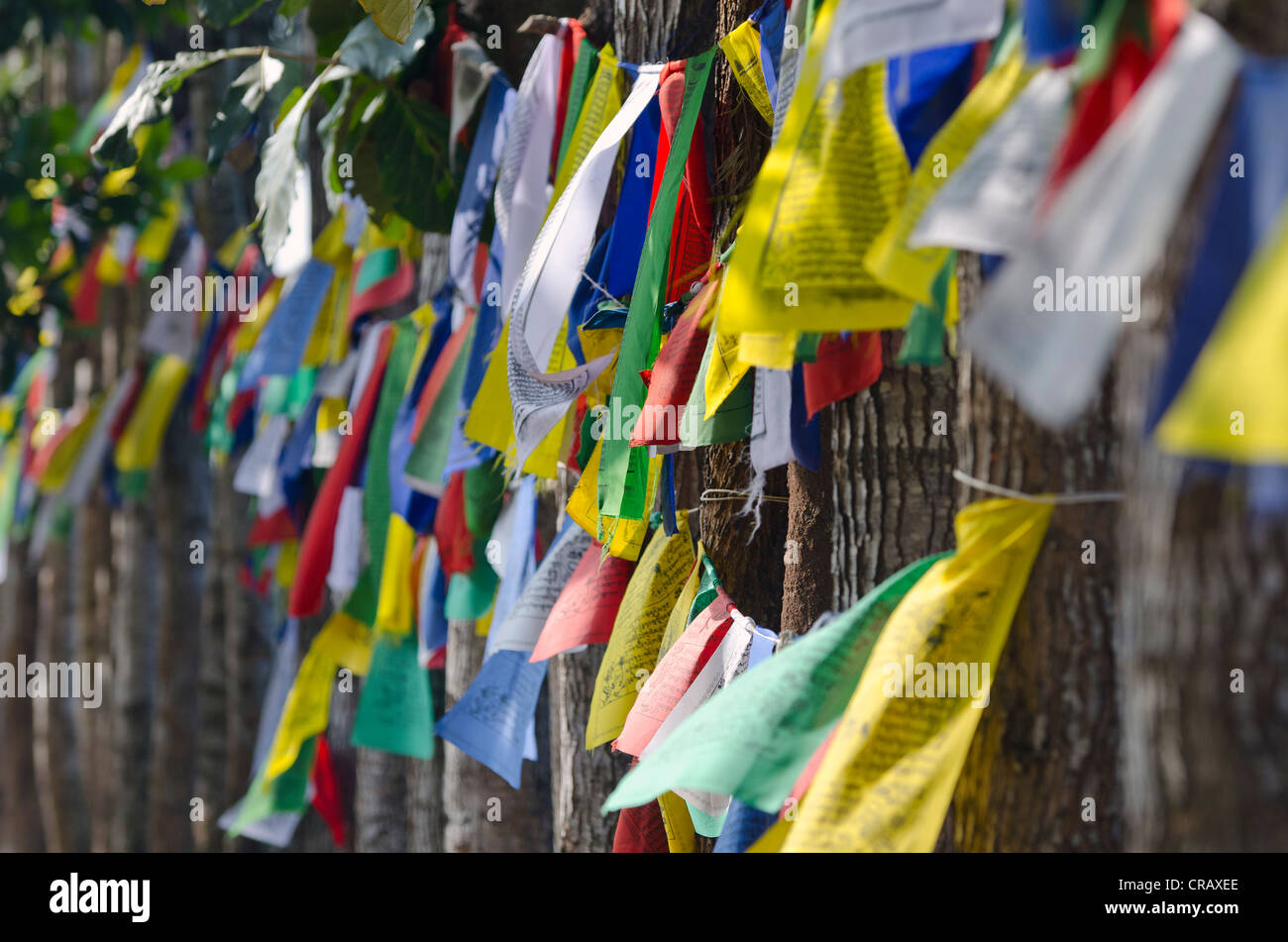 Gebetsfahnen, tibetischen Flüchtlings-Siedlung in Bylakuppe, Distrikt Mysore, Karnataka, Südindien, Indien, Asien Stockfoto