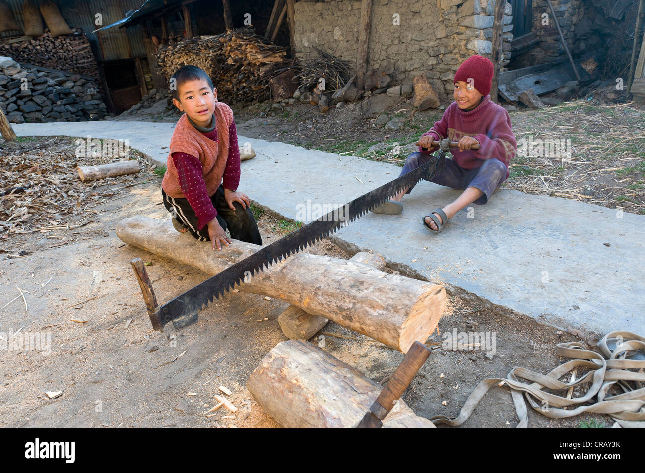 Kinder schneiden sich ein Baumstamm in der Nähe von Dorf Jang, Arunachal Pradesh, Indien, Asien Stockfoto