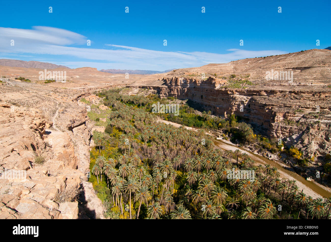 Grüner Rock Canyon des Ghouffi in den Aurès Gebirge, Algerien, Afrika Stockfoto