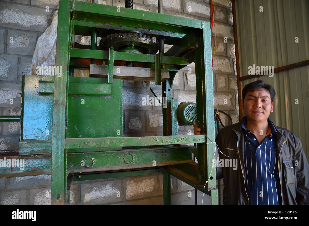 Produktion des tibetischen Räucherstäbchen, Maschine zum Pressen der Weihrauch Mass, Tibet, China, Asien Stockfoto