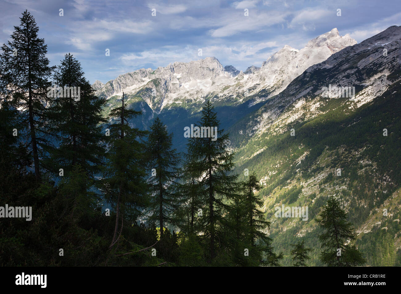 Blick von hoch oben in den Gebirgswäldern der Julischen Alpen, Slowenien. Stockfoto