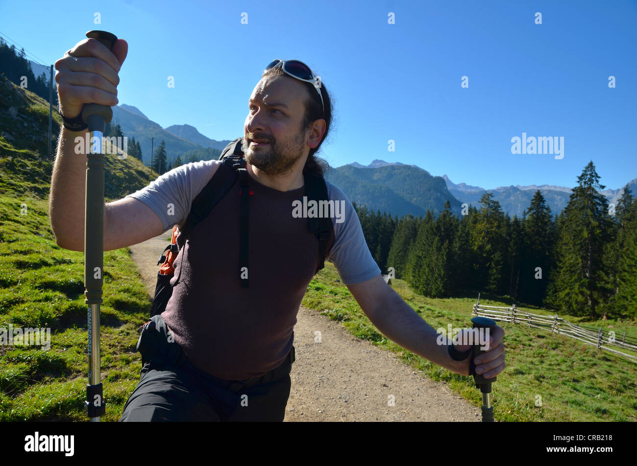 Junger Mann Wandern mit Trekkingstöcken auf einem der Wanderwege im Berchtesgadener Land, Gotzenalm Alp, Schönau, Königsee Stockfoto