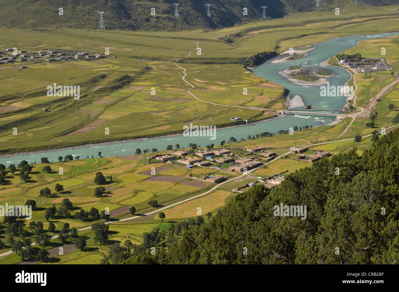 Reting Fluss, Reting Tsangpo mit jahrhundertealten Wacholderbäumen in den Bergen von Reting Kloster, Mount Gangi Rarwa, Himalaya Stockfoto