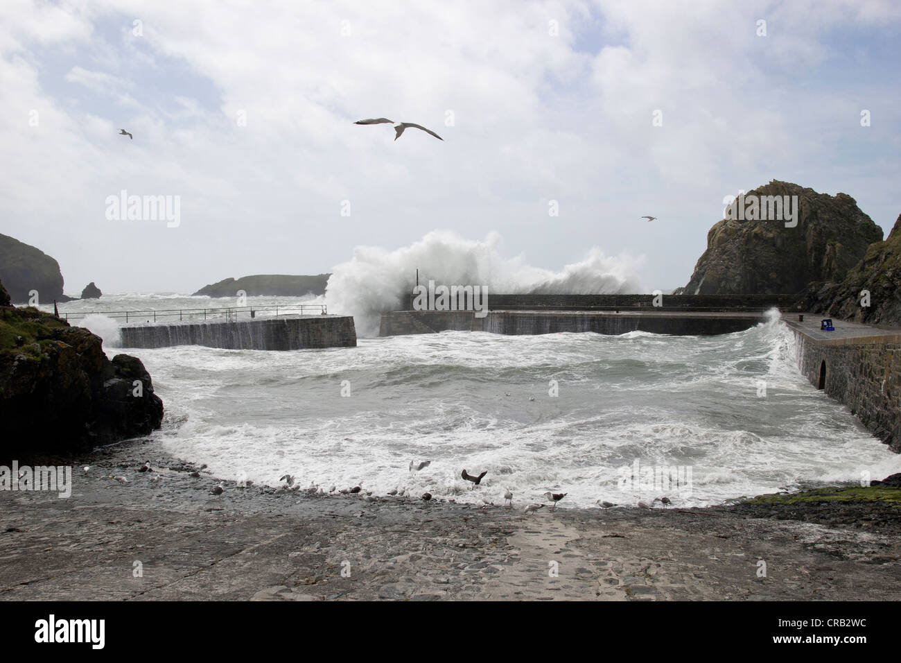 Brechenden Wellen am Mullion Cove, The Lizard, Cornwall verursachen, indem Sie eine Windstärke von Süden westlicher Gale. Stockfoto