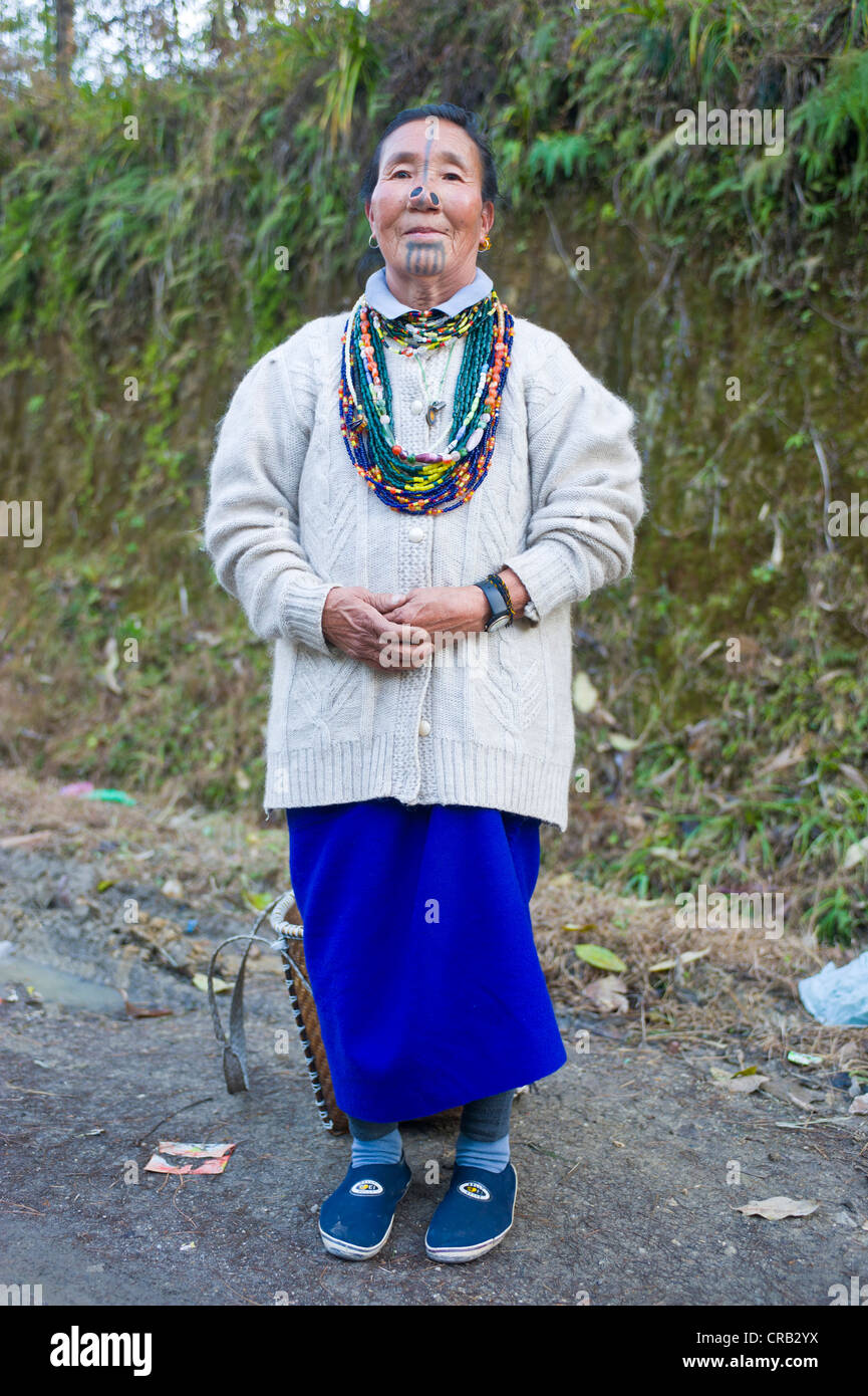 Alte Frau vom Stamm Apatani, bekannt für die Holzstücke in ihre Nase zu machen häßlich, Ziro, Arunachal Pradesh Stockfoto