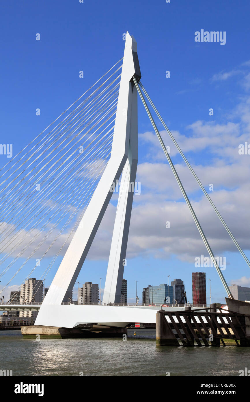 Erasmus-Brücke, eine Schrägseilbrücke, Pylon vor der Skyline von Rotterdam, Holland, Niederlande, Europa Stockfoto
