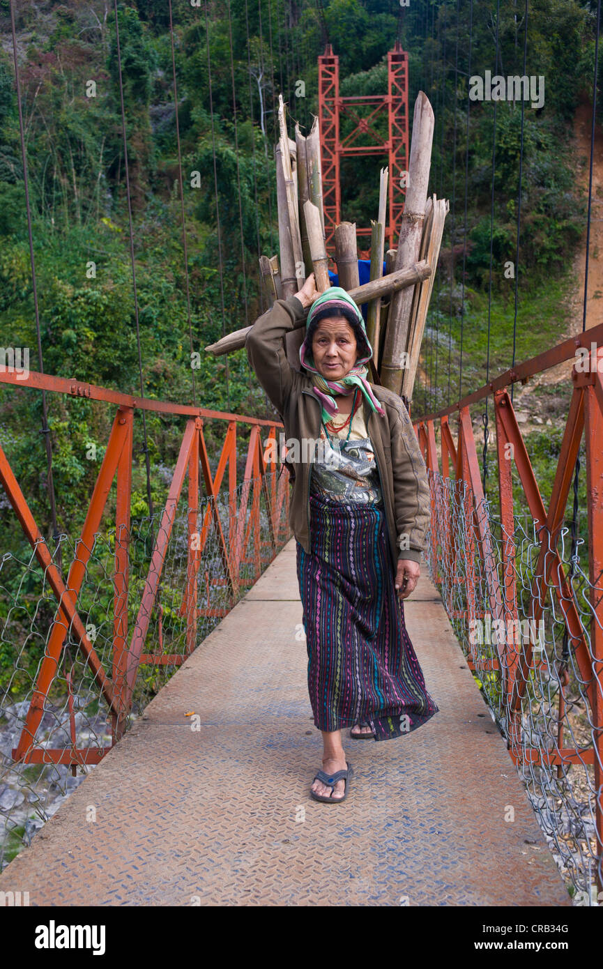 Frau von Adi Gallong Volksgruppe mit Holz auf dem Rücken zusammen, Arunachal Pradesh, North East India, Indien, Asien Stockfoto