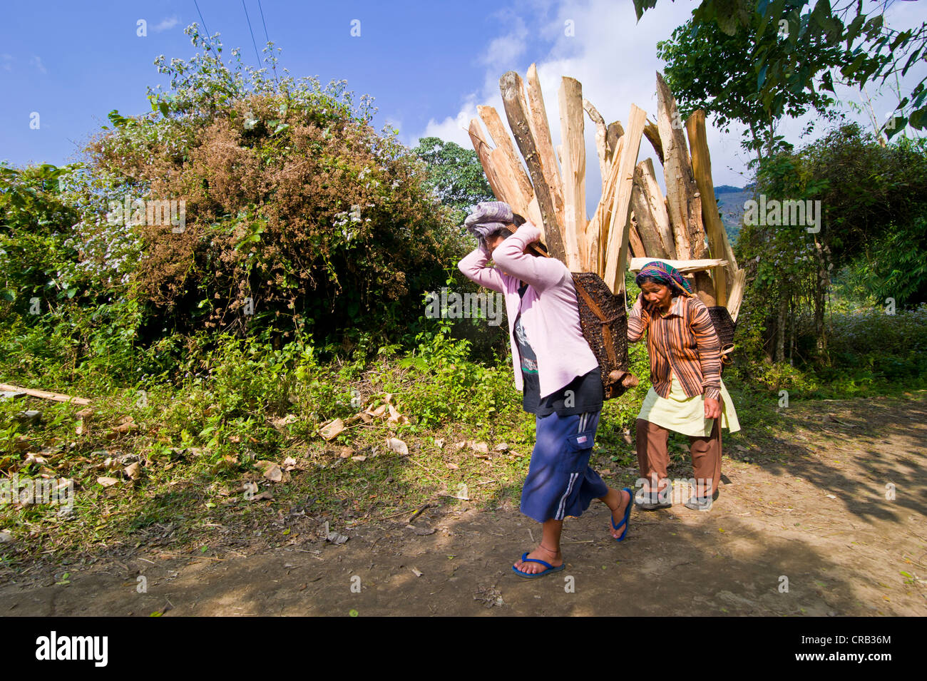 Frauen aus der ethnischen Gruppe der Adi Gallong mit Holz auf dem Rücken zusammen, Arunachal Pradesh, North East India, Indien, Asien Stockfoto