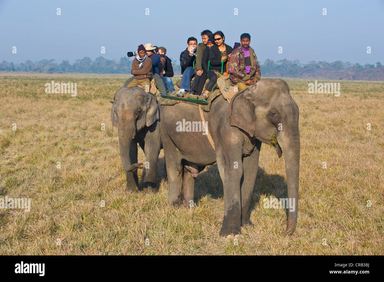 Touristen auf Elefanten in die UNESCO Welt Natural Heritage Site Kaziranga Nationalpark, Assam, Nordost-Indien, Indien, Asien Stockfoto