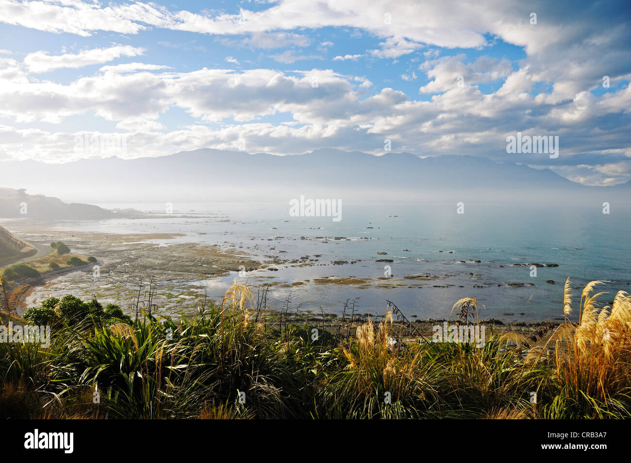 Küste der Halbinsel Kaikoura, Seaward Kaikoura Ranges an der Rückseite, Kaikoura, Südinsel, Neuseeland Stockfoto