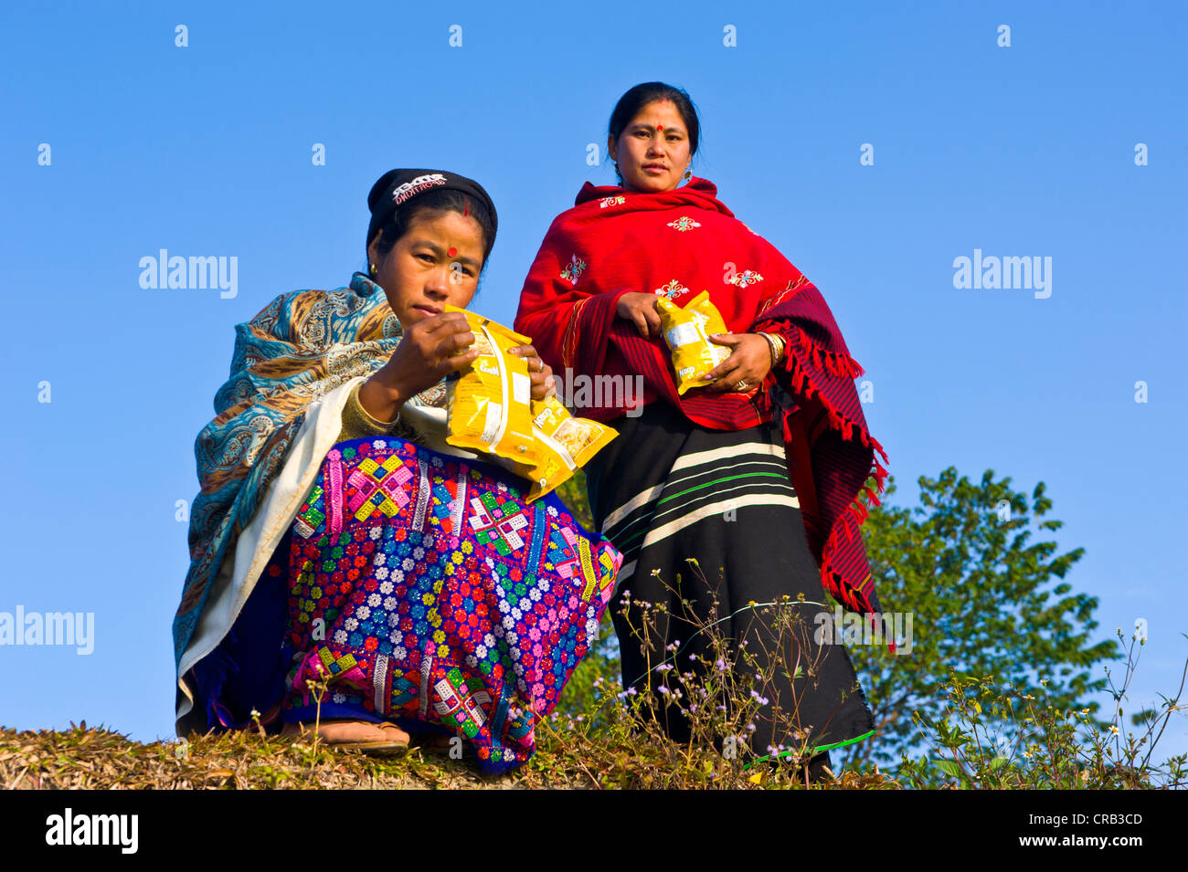 Nord-Ost-indischen Frauen am Ufer Flusses des Brahmaputra Fluss, Assam, Nordost-Indien, Indien, Asien Stockfoto