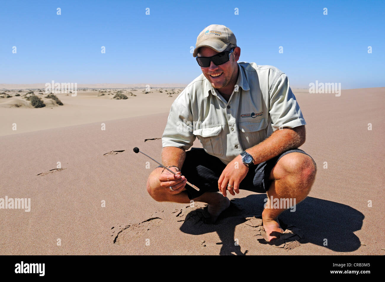Reiseführer für Demonstration magnetischer Sand, Magnetit, Nationalpark, Teil des namibischen Skeleton Coast Nationalpark Stockfoto